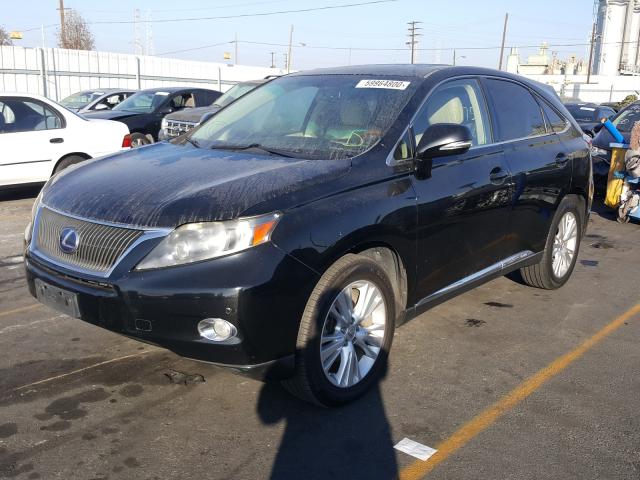 Photo 1 VIN: JTJZB1BAXA2402110 - LEXUS RX 450 