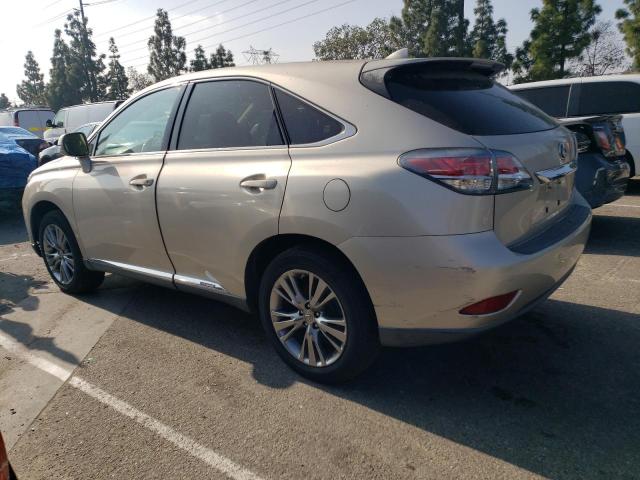 Photo 1 VIN: JTJZB1BAXE2009732 - LEXUS RX450 