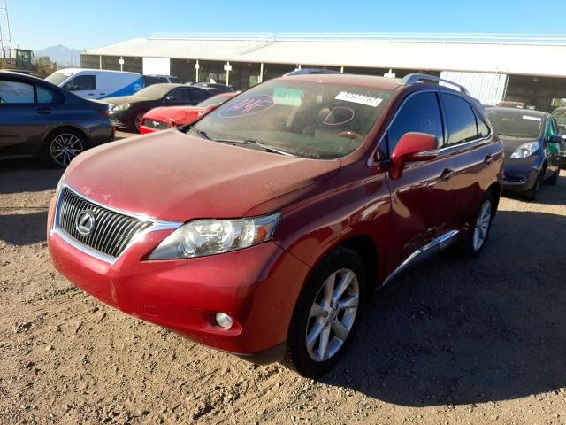 Photo 1 VIN: JTJZK1BA6A2404985 - LEXUS RX 350 