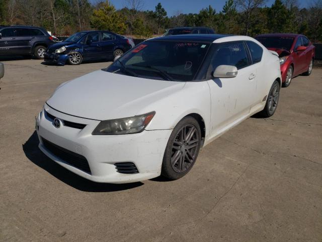 Photo 1 VIN: JTKJF5C70B3012538 - TOYOTA SCION TC 