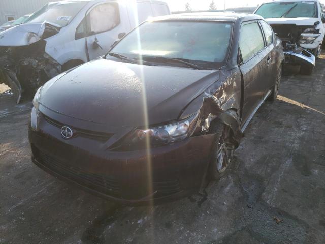 Photo 1 VIN: JTKJF5C71D3063565 - TOYOTA SCION TC 