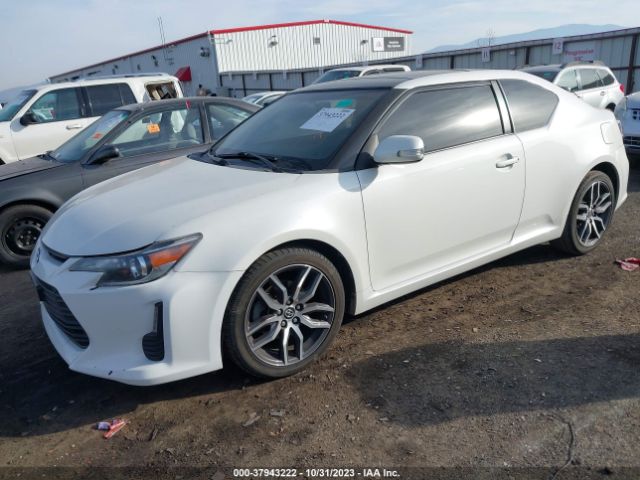 Photo 1 VIN: JTKJF5C73GJ024363 - SCION TC 