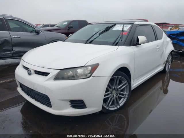 Photo 1 VIN: JTKJF5C74B3006239 - SCION TC 