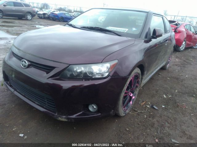 Photo 1 VIN: JTKJF5C74D3060773 - SCION TC 