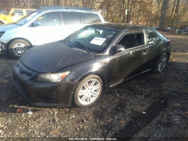 Photo 1 VIN: JTKJF5C75B3005276 - SCION TC 