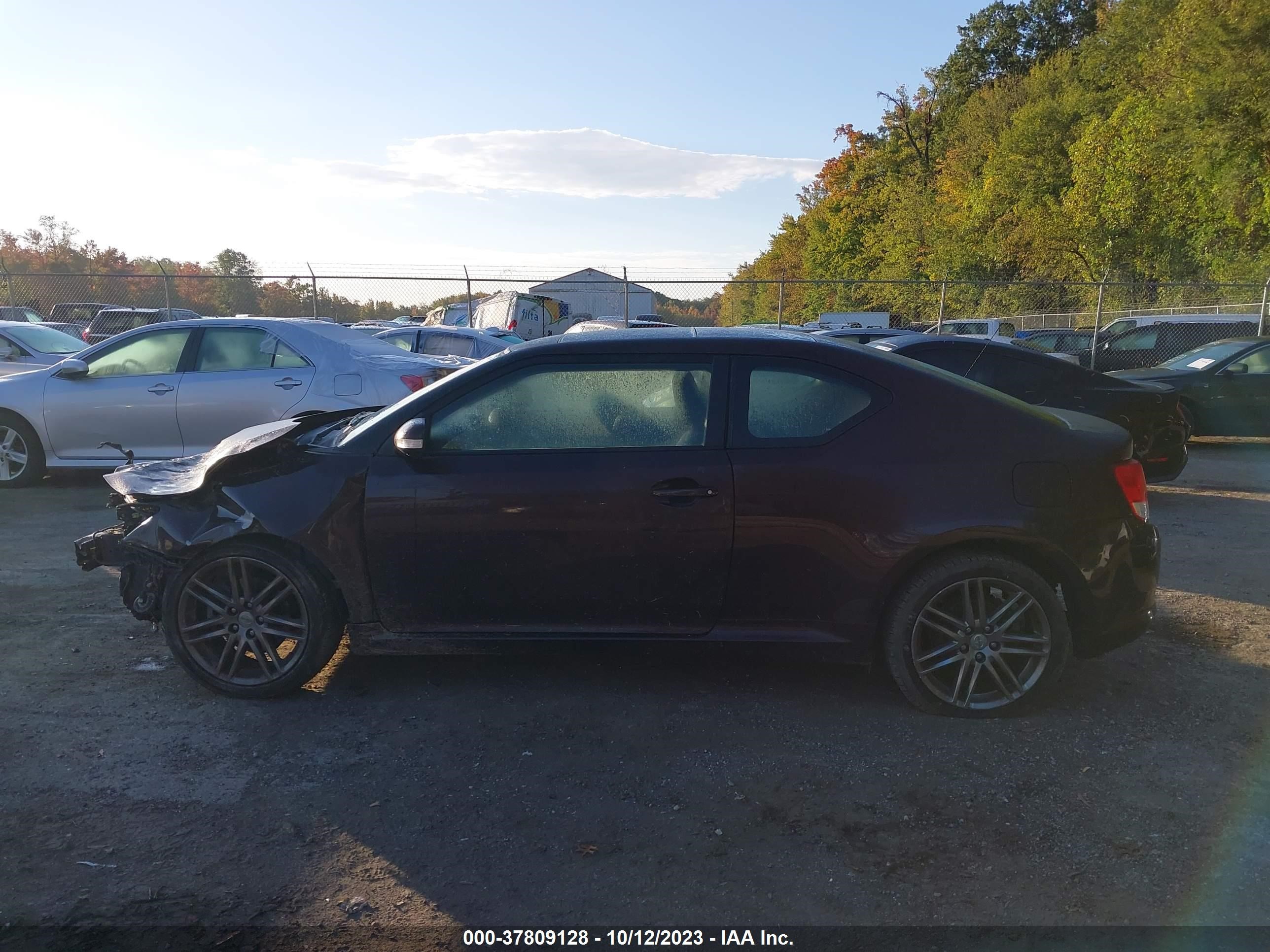 Photo 13 VIN: JTKJF5C75B3018674 - SCION TC 