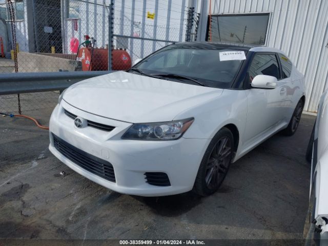 Photo 1 VIN: JTKJF5C75D3056876 - SCION TC 