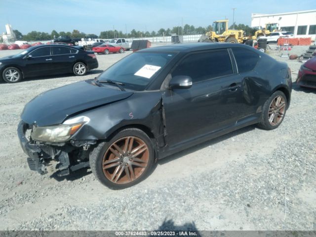 Photo 1 VIN: JTKJF5C76B3019087 - SCION TC 