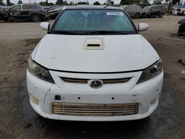 Photo 4 VIN: JTKJF5C76D3052268 - TOYOTA TC 