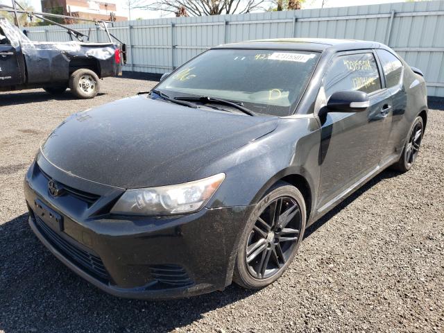 Photo 1 VIN: JTKJF5C79B3008228 - TOYOTA SCION TC 