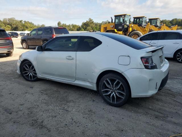 Photo 1 VIN: JTKJF5C7XFJ003444 - TOYOTA SCION TC 