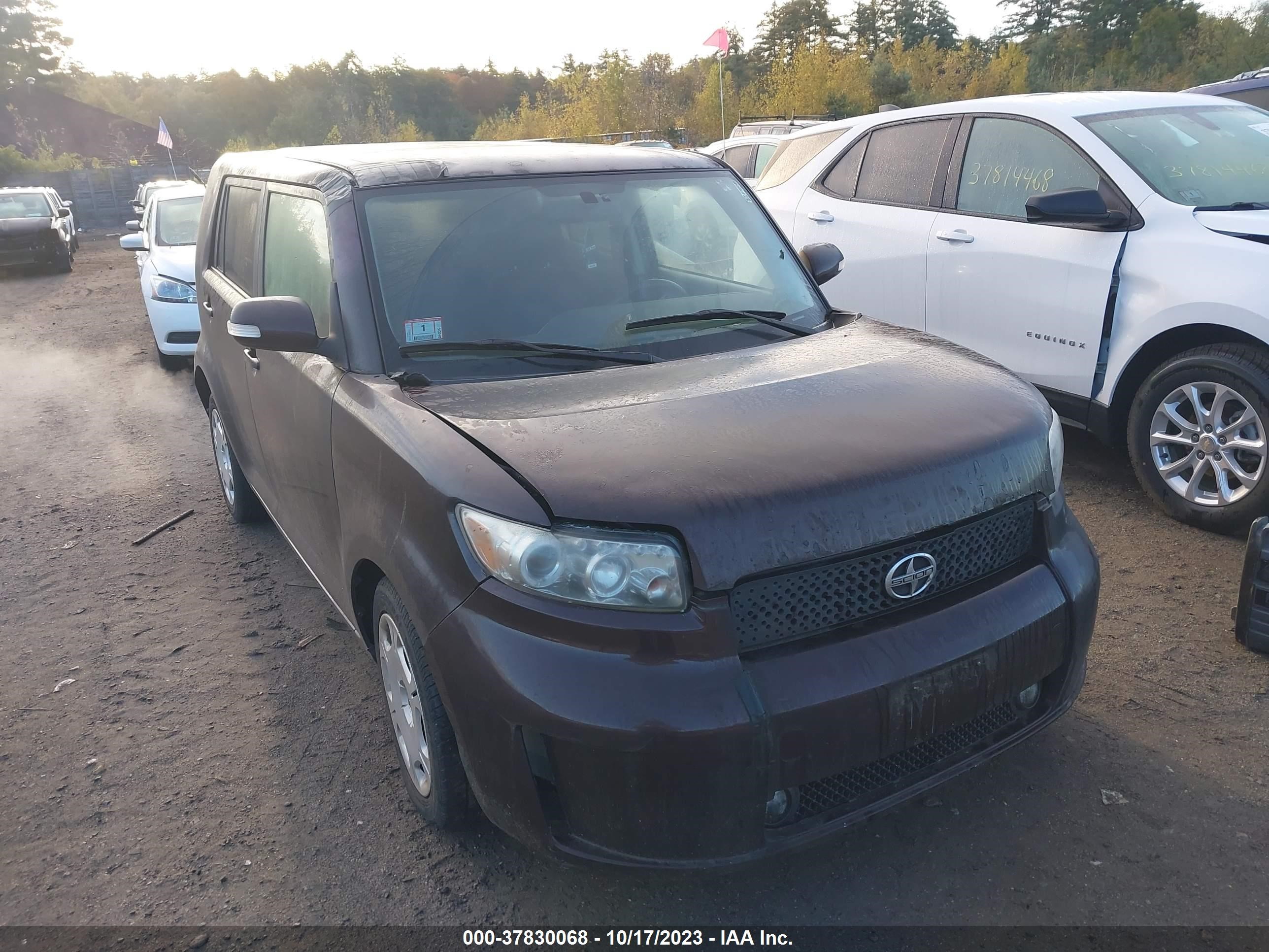 Photo 0 VIN: JTLKE50E191086238 - SCION XB 