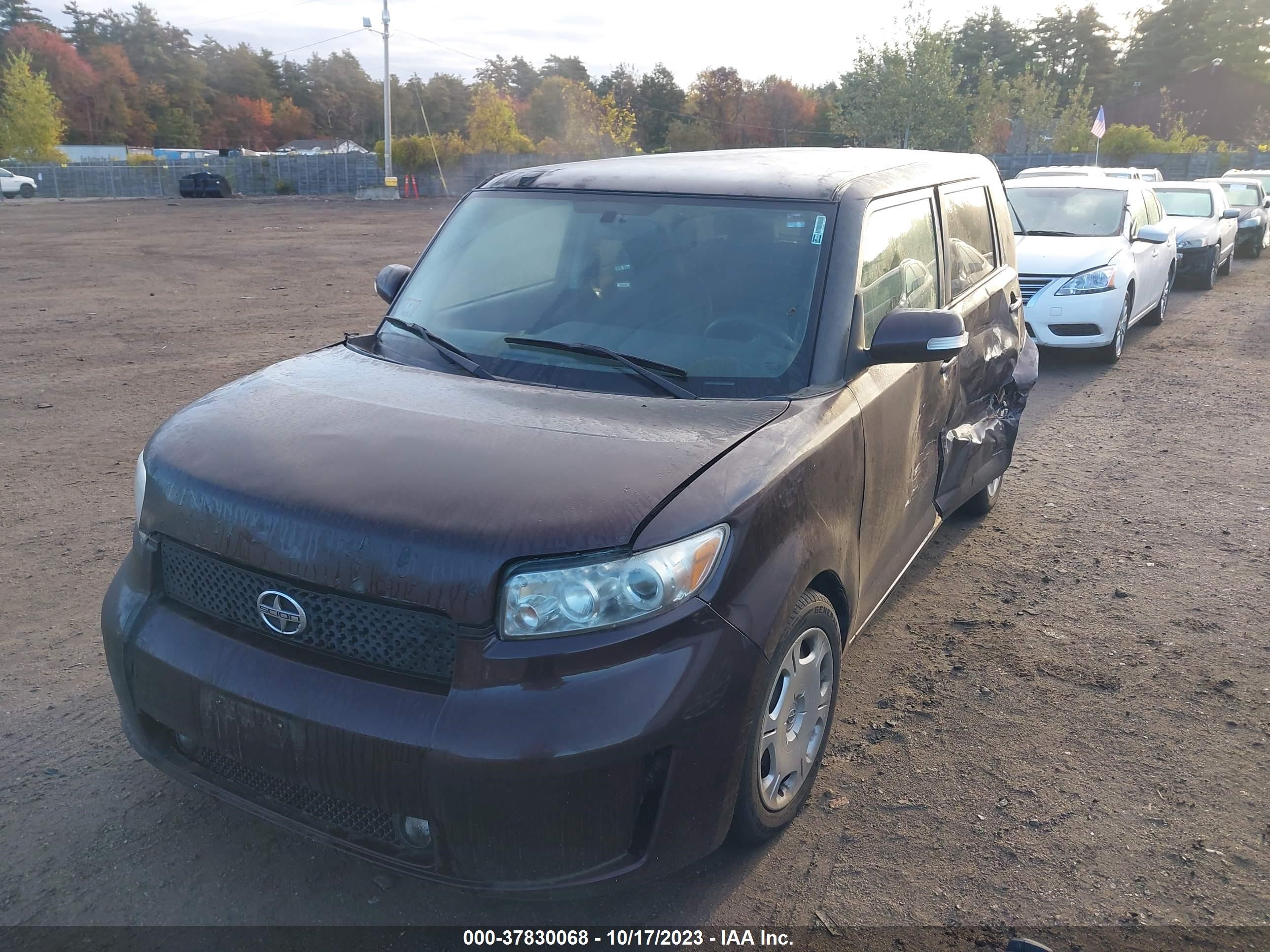 Photo 1 VIN: JTLKE50E191086238 - SCION XB 