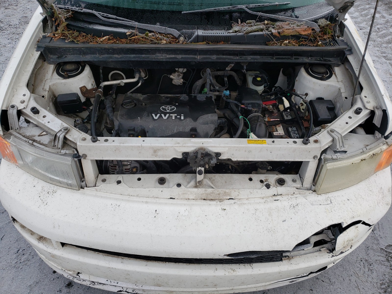 Photo 6 VIN: JTLKT324X40131710 - TOYOTA SCION XB 