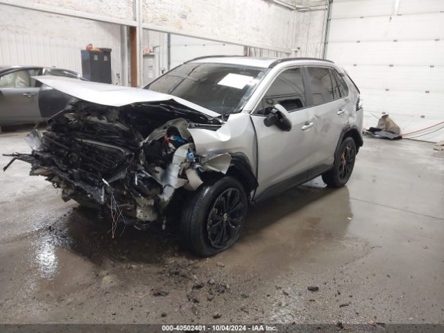 Photo 1 VIN: JTM16RFV1PD106468 - TOYOTA RAV4 