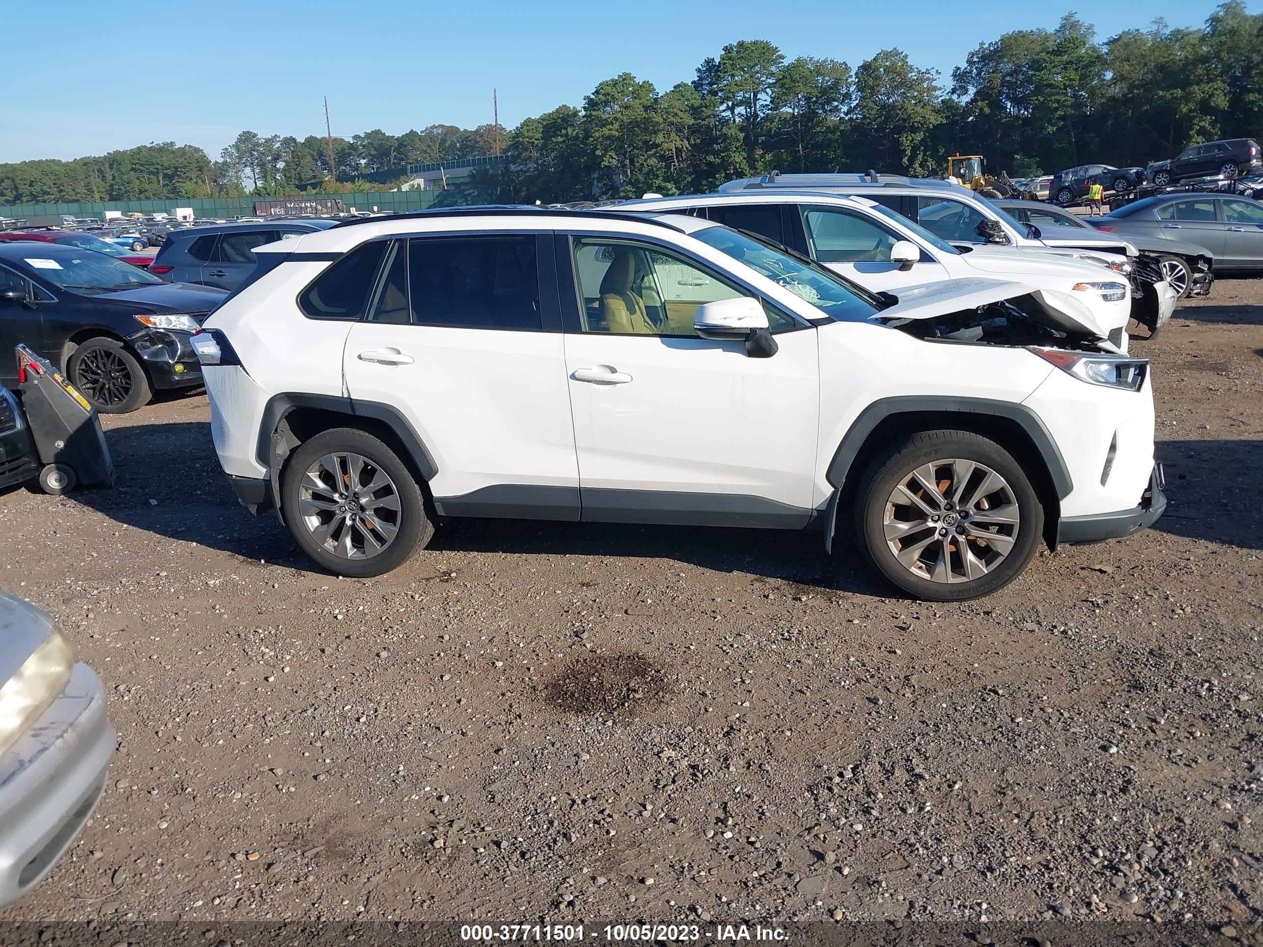 Photo 12 VIN: JTMA1RFV4KD002077 - TOYOTA RAV 4 