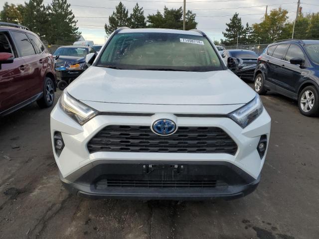 Photo 4 VIN: JTMB6RFV1PD538711 - TOYOTA RAV4 XLE P 