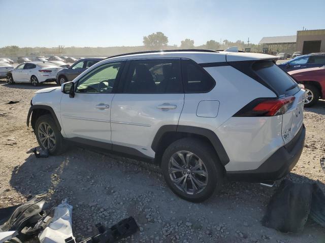 Photo 1 VIN: JTMB6RFV7PD088563 - TOYOTA RAV4 XLE P 