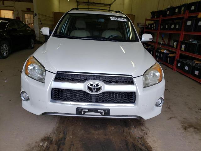 Photo 4 VIN: JTMBF31V395013490 - TOYOTA RAV4 