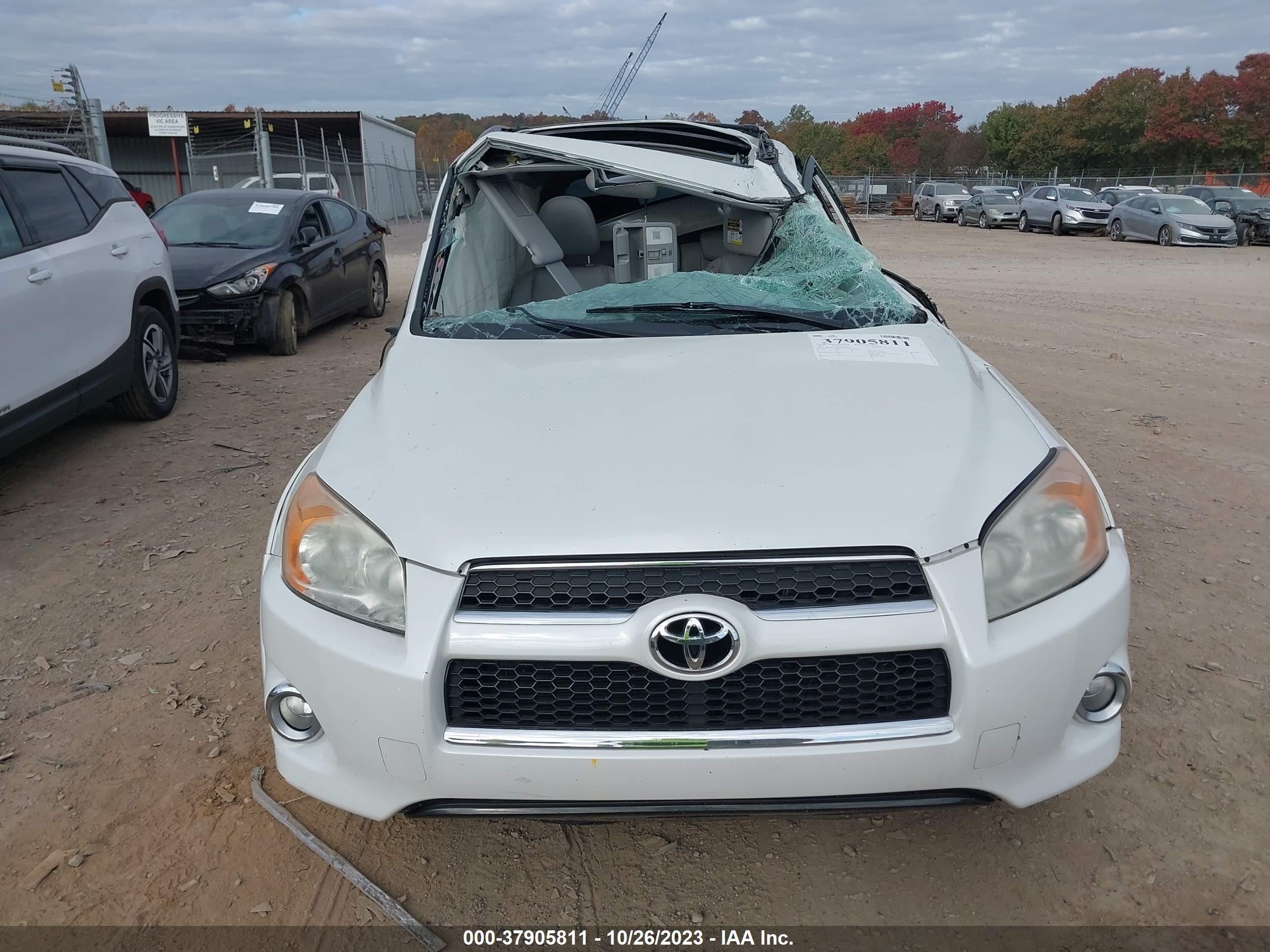 Photo 11 VIN: JTMBF31VX95013177 - TOYOTA RAV 4 