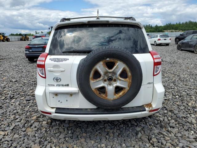 Photo 5 VIN: JTMBF33V195004025 - TOYOTA RAV4 