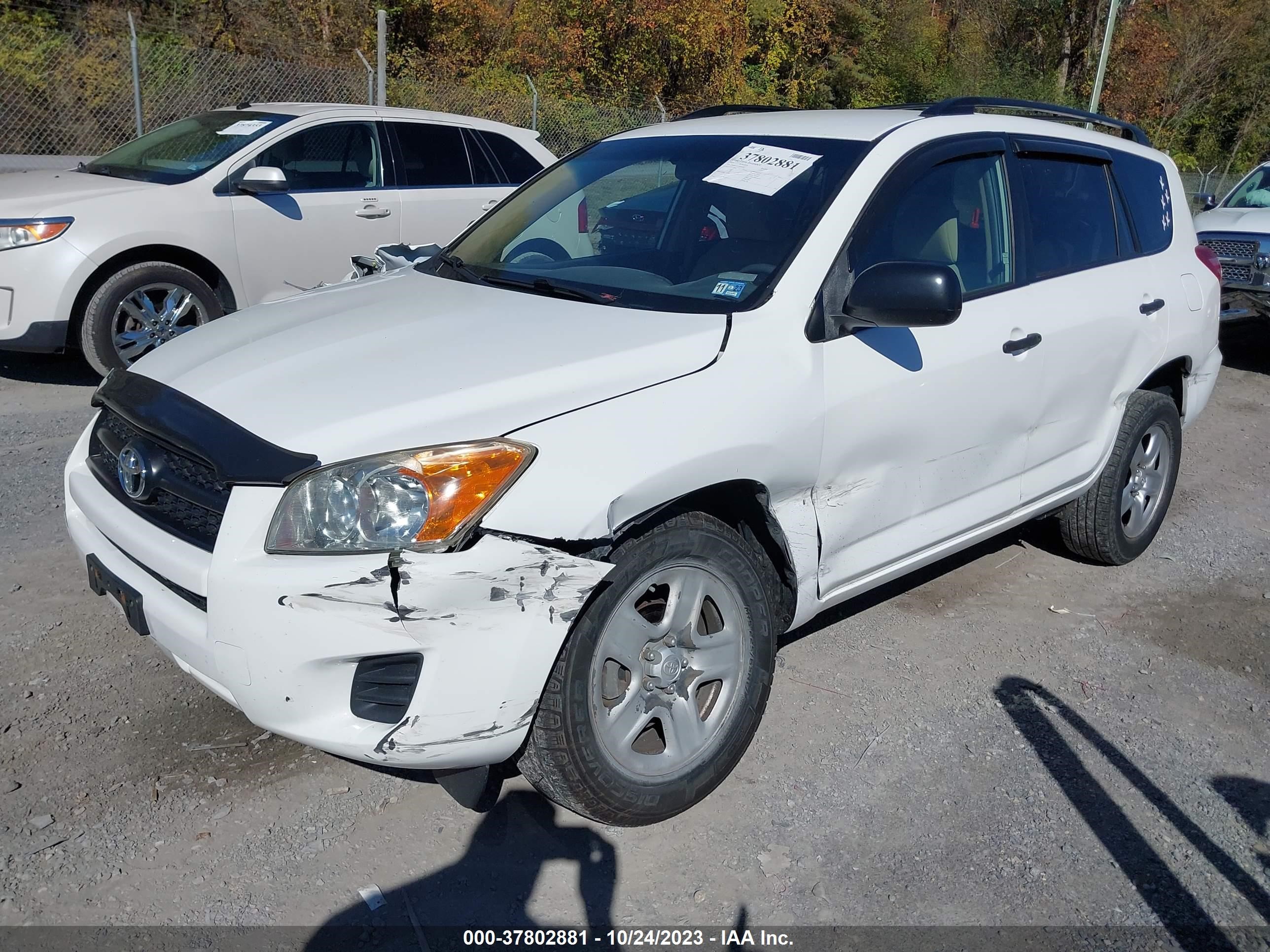 Photo 1 VIN: JTMBF33V395009405 - TOYOTA RAV 4 