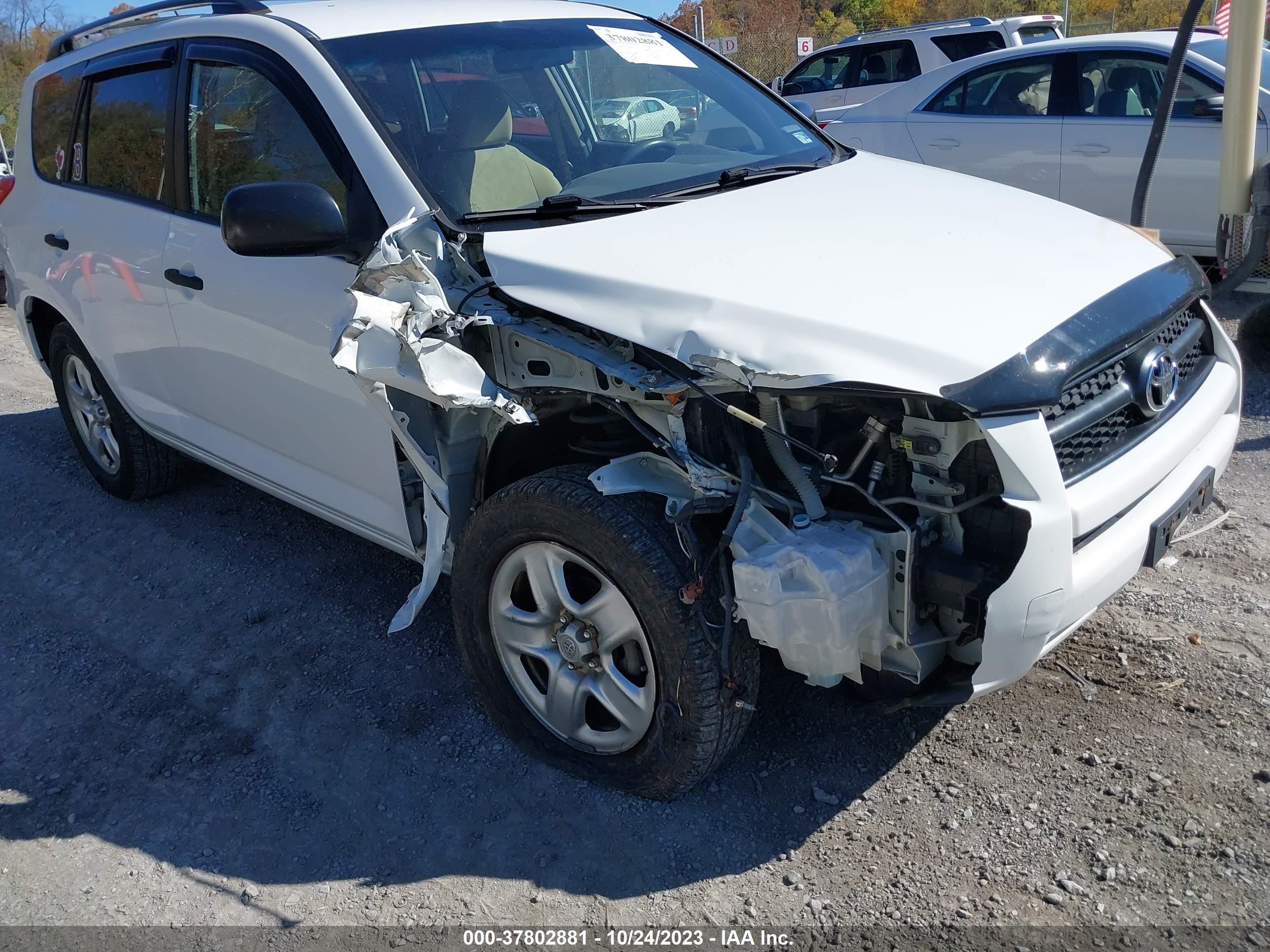 Photo 5 VIN: JTMBF33V395009405 - TOYOTA RAV 4 