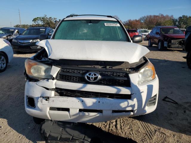 Photo 4 VIN: JTMBF33V69D000932 - TOYOTA RAV4 