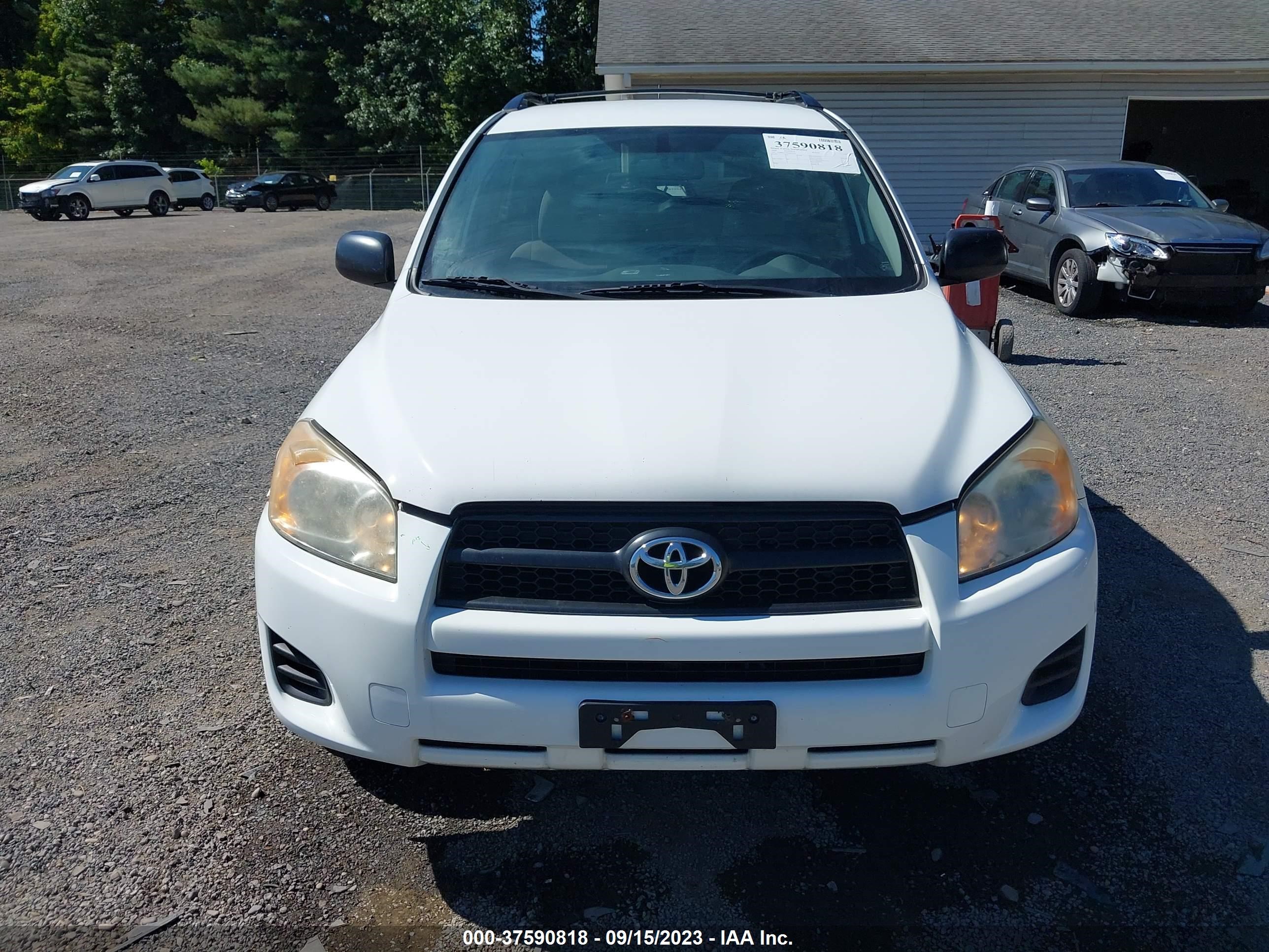 Photo 11 VIN: JTMBF33V89D015352 - TOYOTA RAV 4 