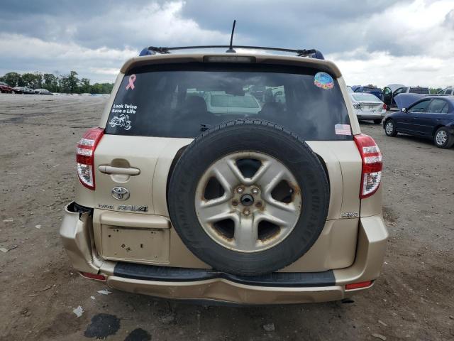 Photo 5 VIN: JTMBF33V995016486 - TOYOTA RAV4 