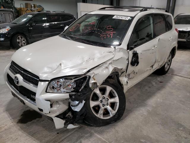 Photo 1 VIN: JTMBK31V095082259 - TOYOTA RAV4 LIMIT 