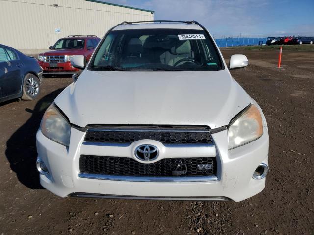 Photo 4 VIN: JTMBK31V695079477 - TOYOTA RAV4 