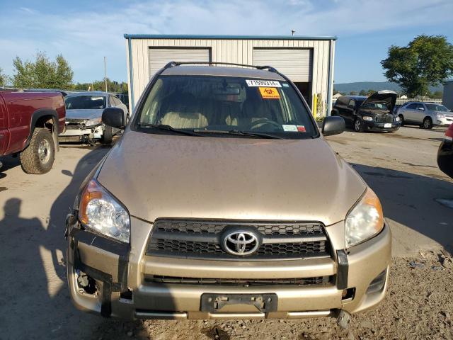 Photo 4 VIN: JTMBK33VX9D006227 - TOYOTA RAV4 