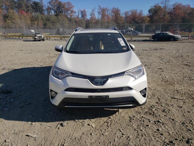 Photo 4 VIN: JTMDJREV2GD030241 - TOYOTA RAV4 