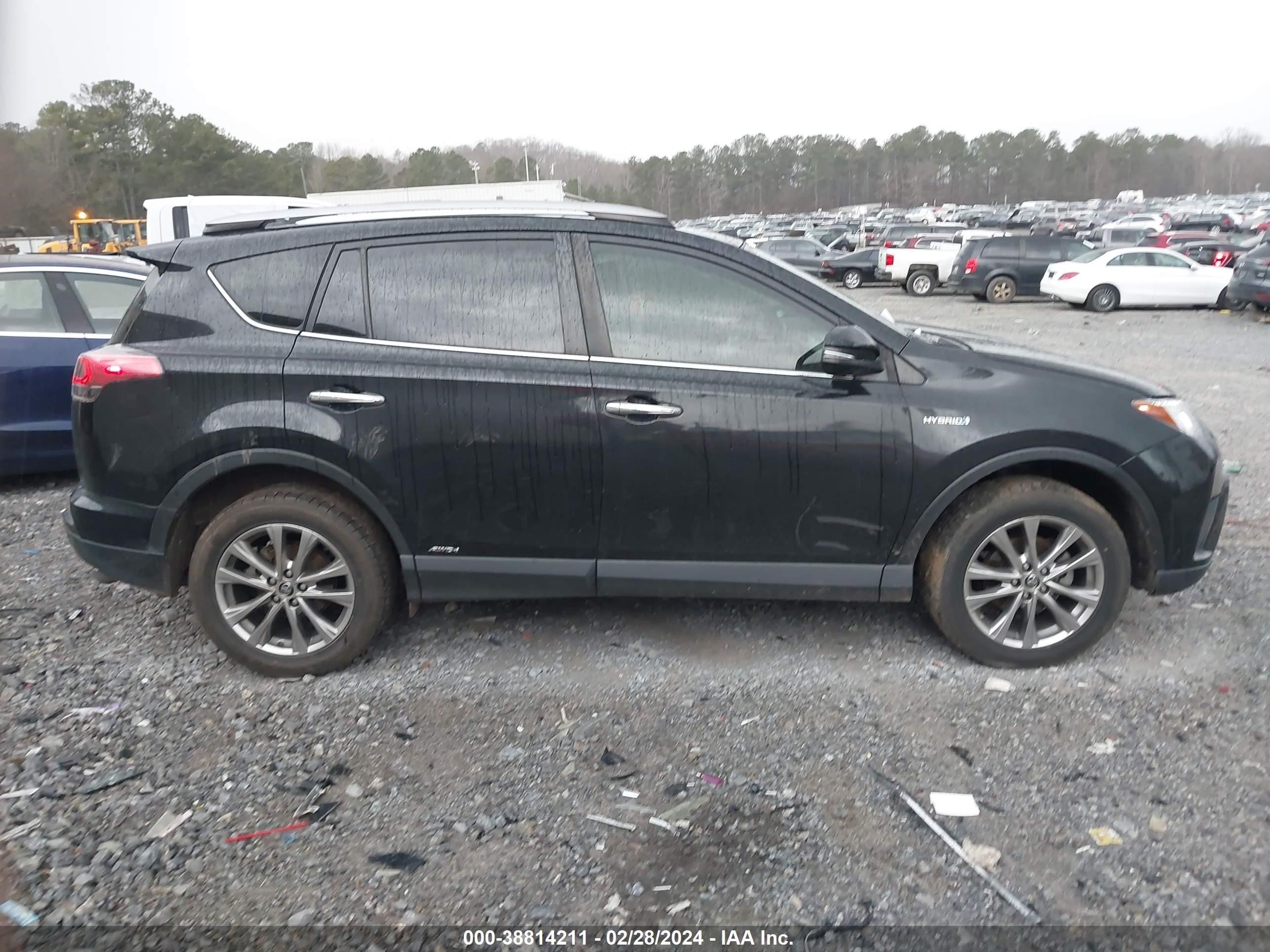 Photo 12 VIN: JTMDJREV6HD133227 - TOYOTA RAV 4 