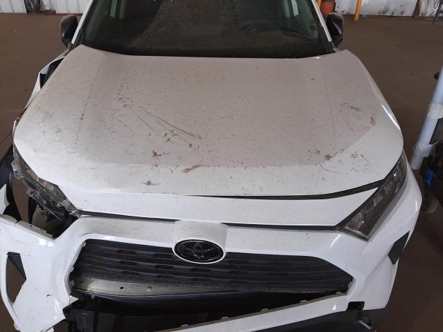 Photo 6 VIN: JTMH1RFVXKD509919 - TOYOTA RAV4 LE 