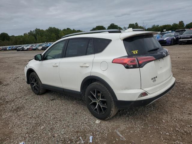 Photo 1 VIN: JTMJFREVXHJ172943 - TOYOTA RAV4 SE 