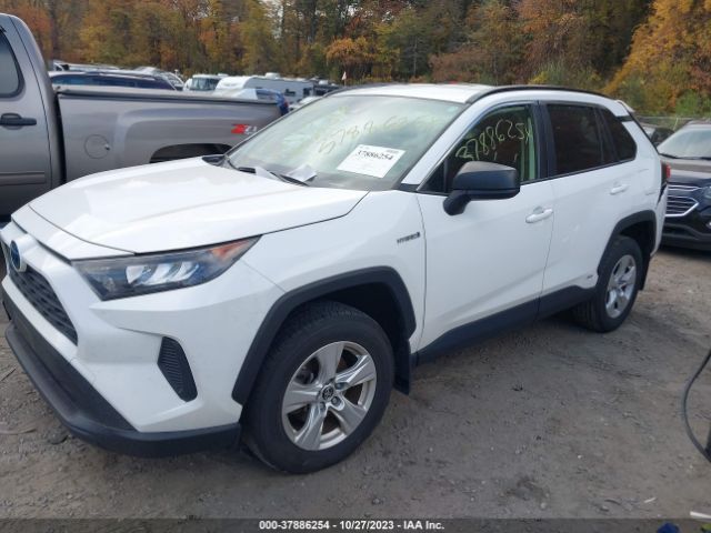 Photo 1 VIN: JTMLWRFV7KD029977 - TOYOTA RAV4 