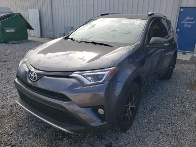 Photo 1 VIN: JTMNFREVXGD088555 - TOYOTA RAV4 SE 