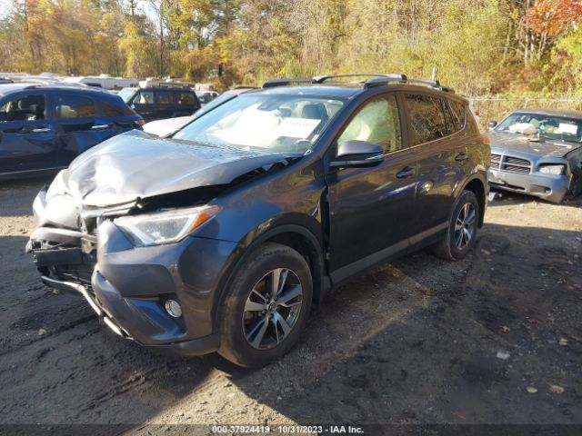 Photo 1 VIN: JTMRFREV3HJ124431 - TOYOTA RAV4 