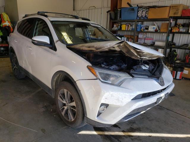 Photo 0 VIN: JTMRFREV4HJ704013 - TOYOTA RAV4 XLE 