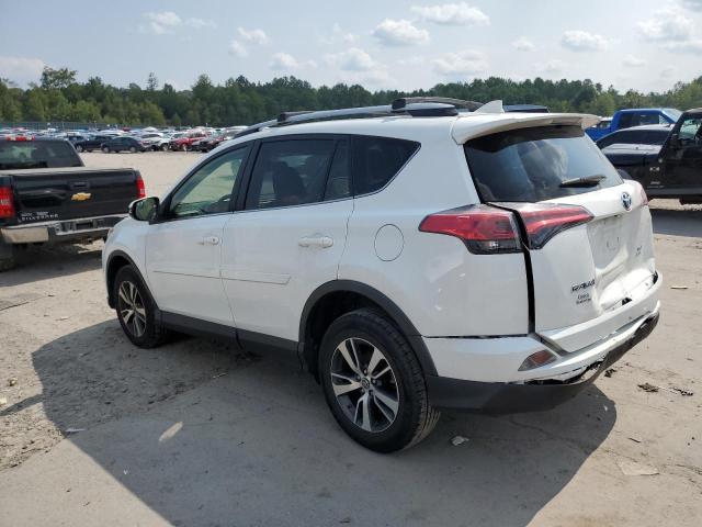 Photo 1 VIN: JTMRFREVXHD203481 - TOYOTA RAV4 XLE 