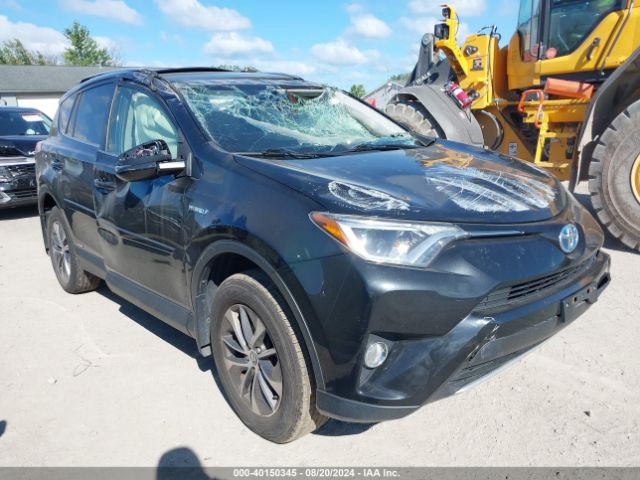 Photo 0 VIN: JTMRJREV0GD042412 - TOYOTA RAV4 