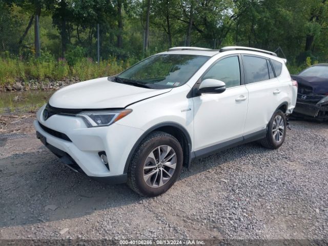 Photo 1 VIN: JTMRJREV0JD177221 - TOYOTA RAV4 