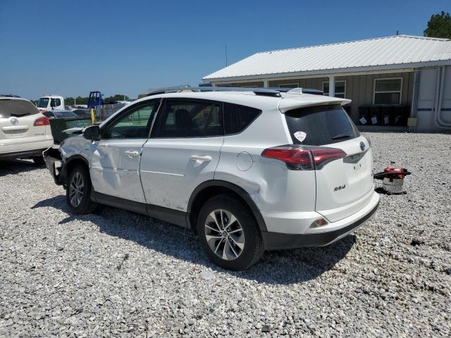 Photo 1 VIN: JTMRJREV3GD018444 - TOYOTA RAV4 HV XL 