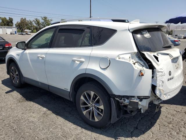 Photo 1 VIN: JTMRJREV4GD048486 - TOYOTA RAV4 HV XL 