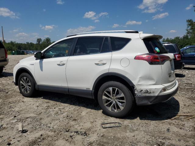 Photo 1 VIN: JTMRJREV6GD030474 - TOYOTA RAV4 HV XL 