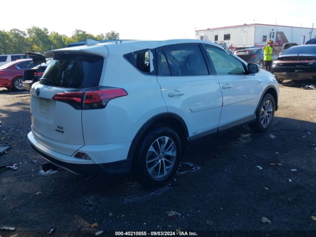 Photo 3 VIN: JTMRJREV6HD134870 - TOYOTA RAV4 