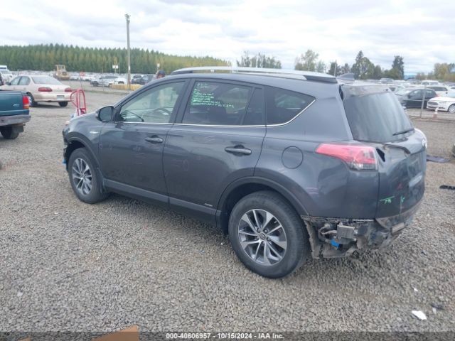 Photo 2 VIN: JTMRJREV6HD150986 - TOYOTA RAV4 