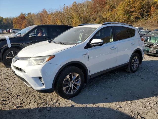 Photo 0 VIN: JTMRJREV7GD045422 - TOYOTA RAV4 HV XL 